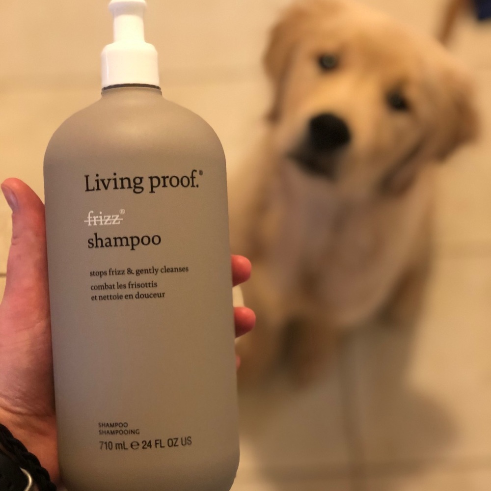 Living Proof No Frizz Shampoo